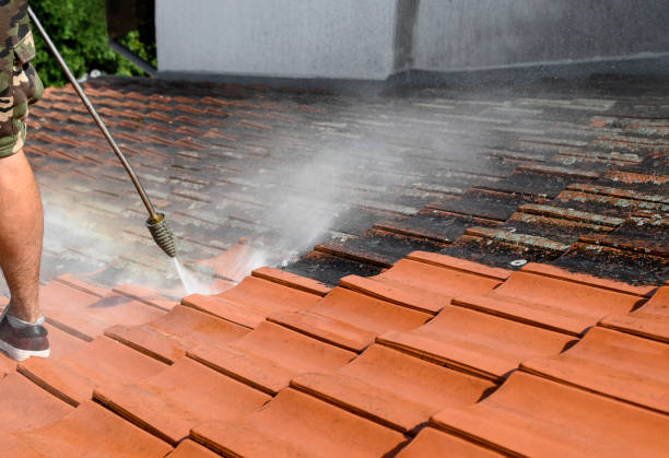 Best Garage Pressure Washing  in Eggertsville, NY