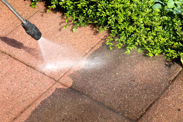 Best House Pressure Washing  in Eggertsville, NY