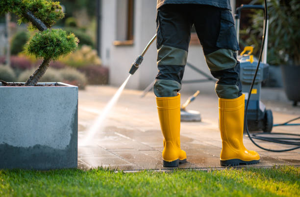 Best Deck Cleaning Services  in Eggertsville, NY